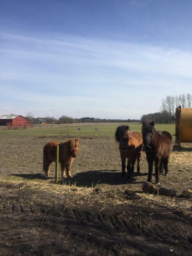A Big Holidayhouse Romo-Rim-Ribe Skærbæk Zewnętrze zdjęcie