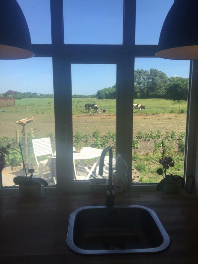A Big Holidayhouse Romo-Rim-Ribe Skærbæk Zewnętrze zdjęcie